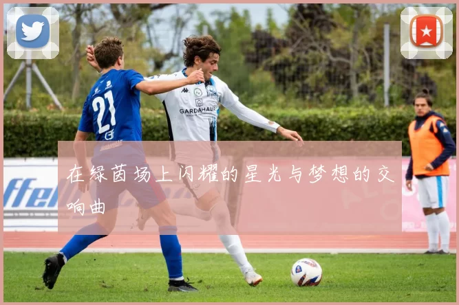 在绿茵场上闪耀的星光与梦想的交响曲