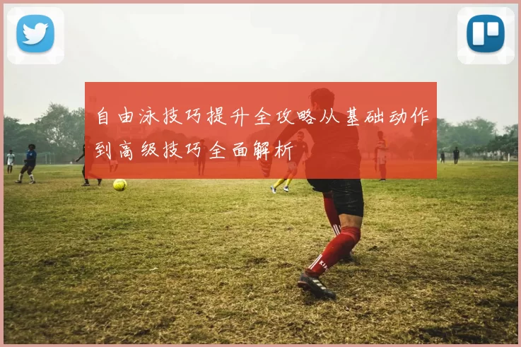 自由泳技巧提升全攻略从基础动作到高级技巧全面解析