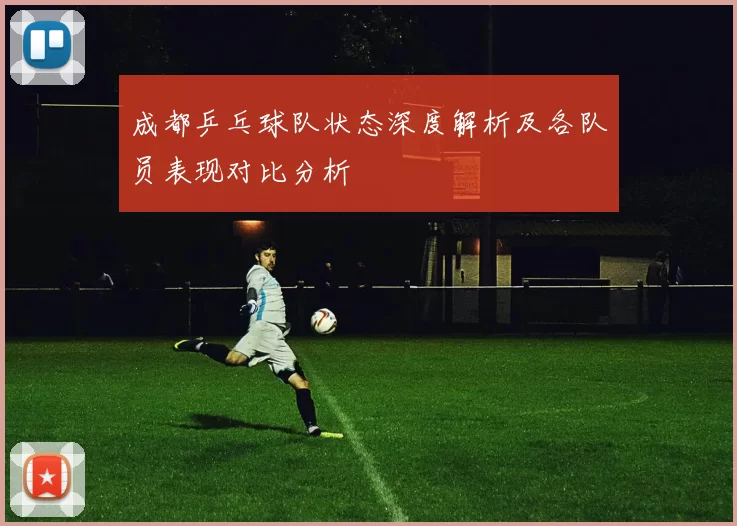 成都乒乓球队状态深度解析及各队员表现对比分析