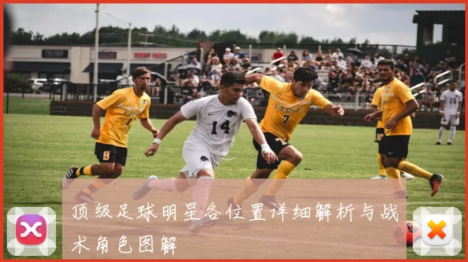 顶级足球明星各位置详细解析与战术角色图解