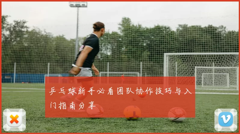 乒乓球新手必看团队协作技巧与入门指南分享