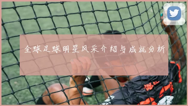 全球足球明星风采介绍与成就分析