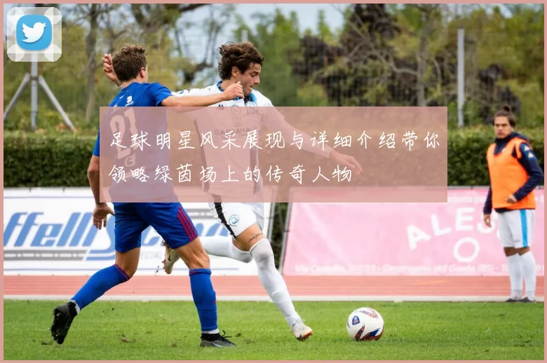 足球明星风采展现与详细介绍带你领略绿茵场上的传奇人物