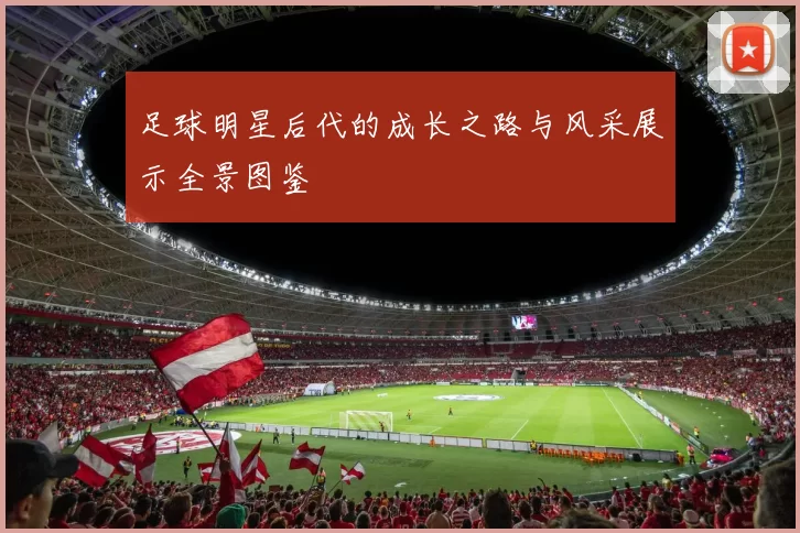 足球明星后代的成长之路与风采展示全景图鉴