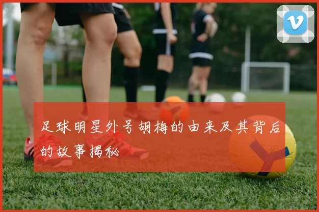 足球明星外号胡梅的由来及其背后的故事揭秘
