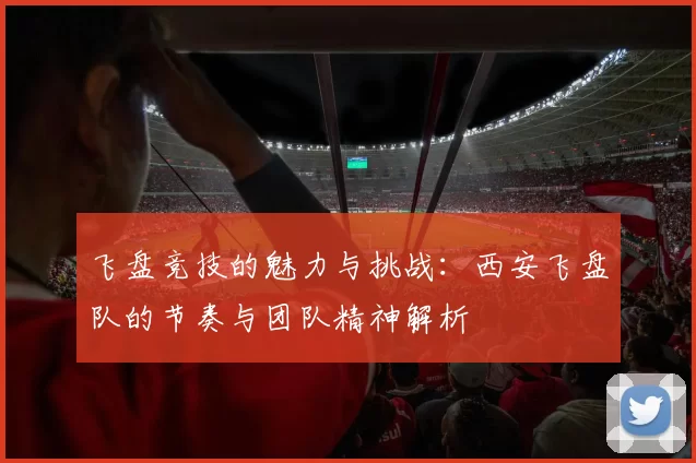 飞盘竞技的魅力与挑战：西安飞盘队的节奏与团队精神解析