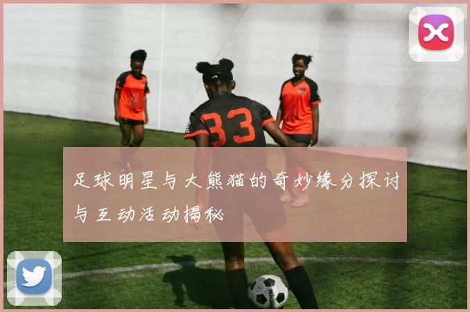 足球明星与大熊猫的奇妙缘分探讨与互动活动揭秘