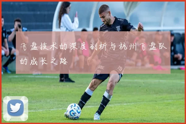 飞盘技术的深度剖析与杭州飞盘队的成长之路