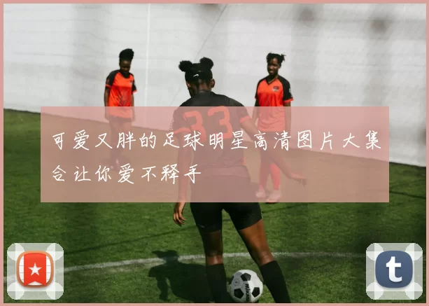 可爱又胖的足球明星高清图片大集合让你爱不释手