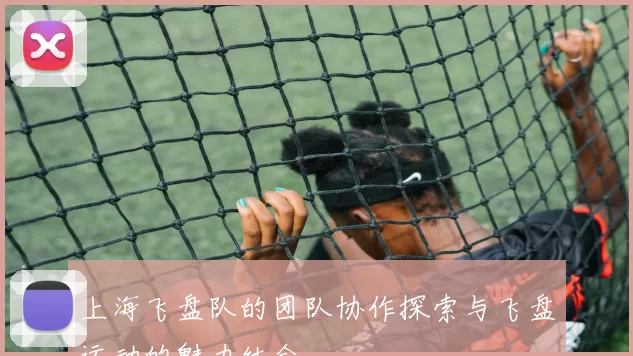 上海飞盘队的团队协作探索与飞盘运动的魅力结合