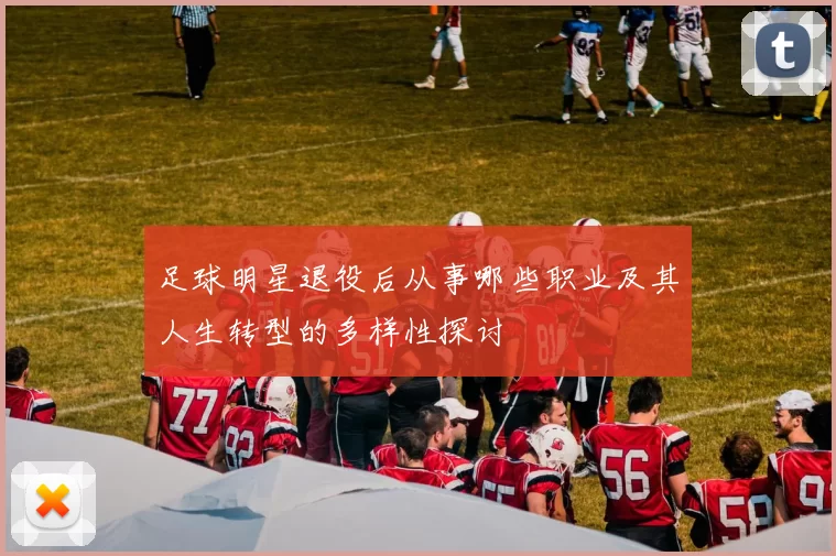 足球明星退役后从事哪些职业及其人生转型的多样性探讨