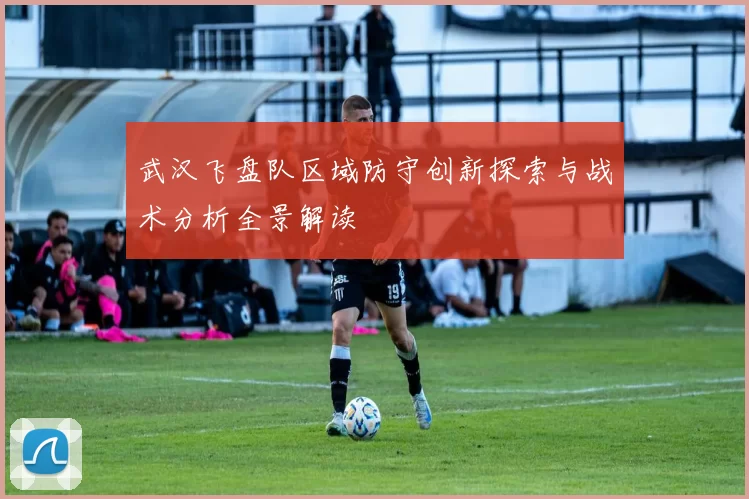 武汉飞盘队区域防守创新探索与战术分析全景解读