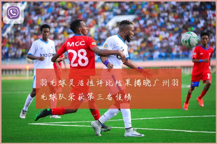 羽毛球灵活性评比结果揭晓广州羽毛球队荣获第三名佳绩