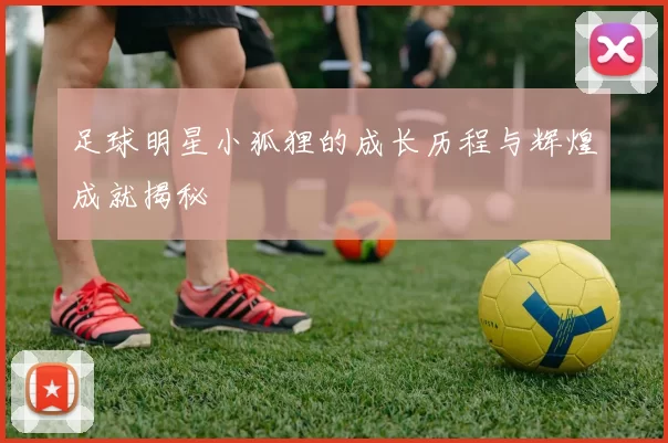 足球明星小狐狸的成长历程与辉煌成就揭秘