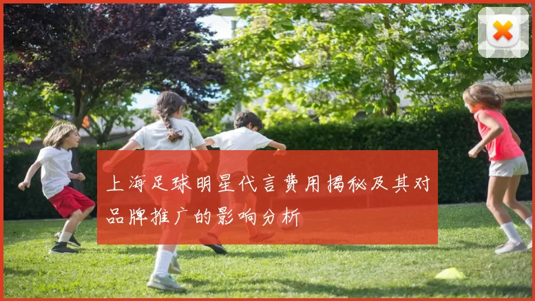 上海足球明星代言费用揭秘及其对品牌推广的影响分析