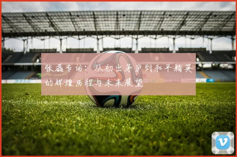 张磊专访：从初出茅庐到和平精英的辉煌历程与未来展望
