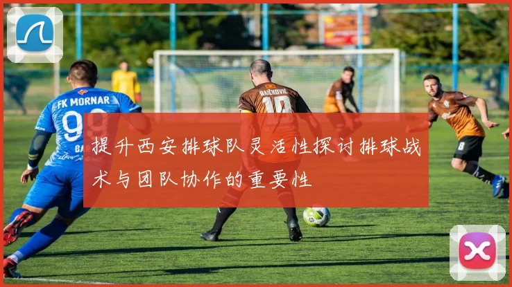 提升西安排球队灵活性探讨排球战术与团队协作的重要性