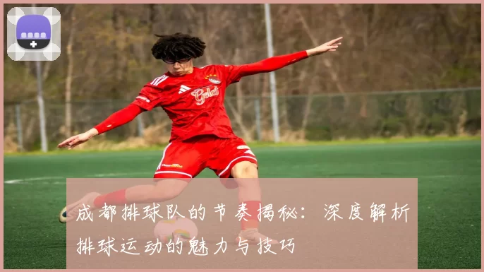 成都排球队的节奏揭秘：深度解析排球运动的魅力与技巧