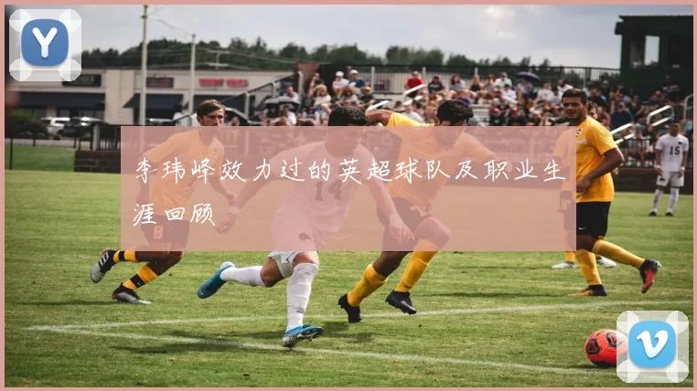 李玮峰效力过的英超球队及职业生涯回顾