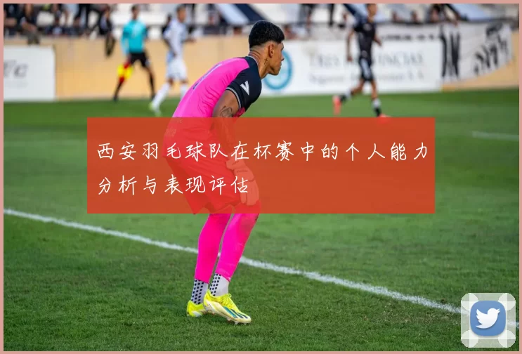 西安羽毛球队在杯赛中的个人能力分析与表现评估