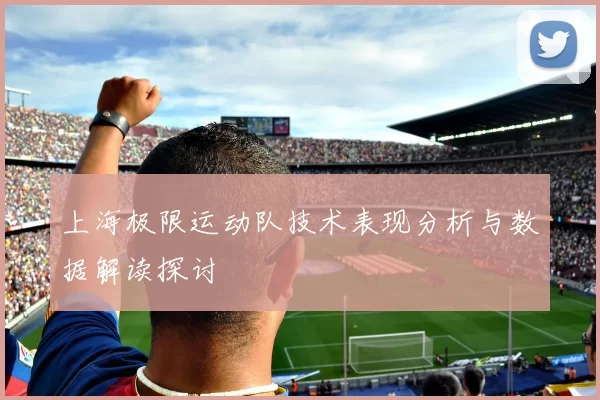 上海极限运动队技术表现分析与数据解读探讨