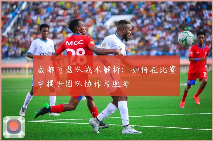 成都飞盘队战术解析：如何在比赛中提升团队协作与胜率