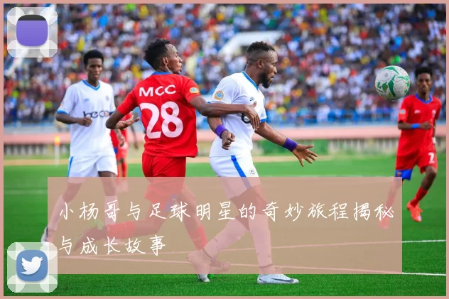小杨哥与足球明星的奇妙旅程揭秘与成长故事