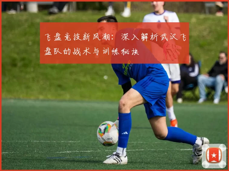 飞盘竞技新风潮：深入解析武汉飞盘队的战术与训练秘诀