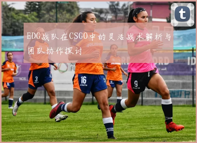 EDG战队在CSGO中的灵活战术解析与团队协作探讨