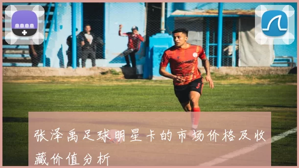 张泽禹足球明星卡的市场价格及收藏价值分析