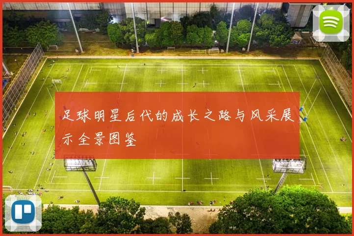 足球明星后代的成长之路与风采展示全景图鉴