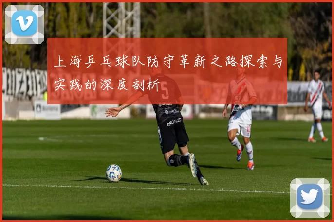 上海乒乓球队防守革新之路探索与实践的深度剖析