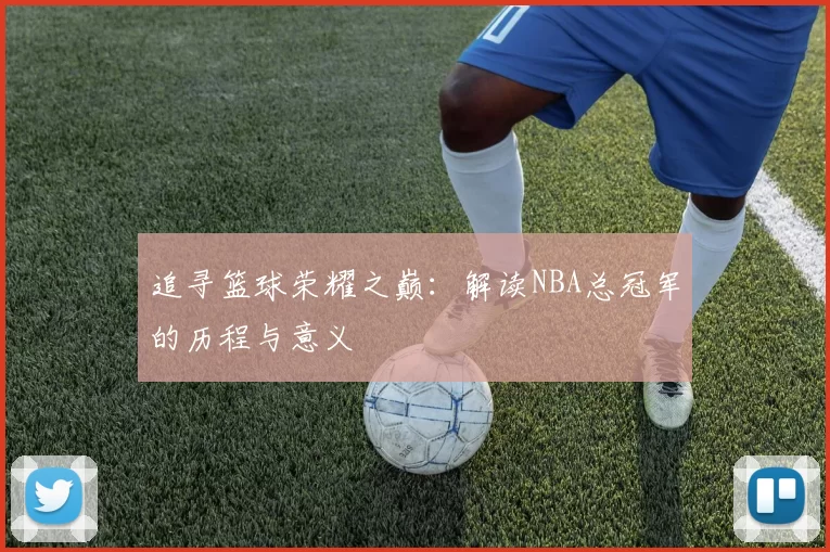 追寻篮球荣耀之巅：解读NBA总冠军的历程与意义