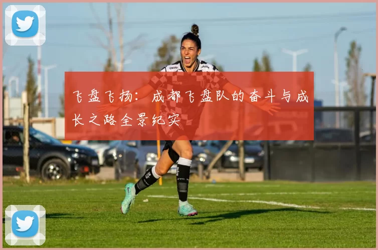 飞盘飞扬：成都飞盘队的奋斗与成长之路全景纪实