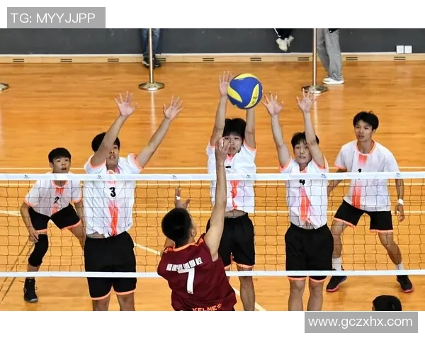 科学排球团队协作训练方法探索与实践提升团队默契与竞技水平