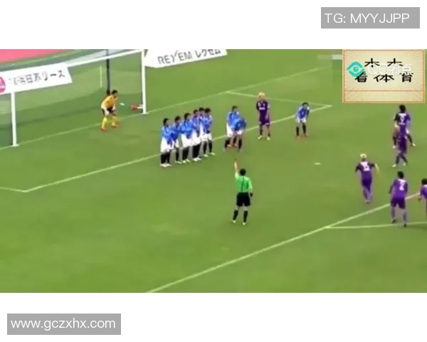 杭州排球队整体压制革新之路：从战术到团队协作的全面提升与探索